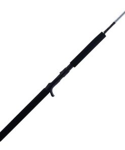 PENN Prevail III Jig Conventional Fishing Rod 2