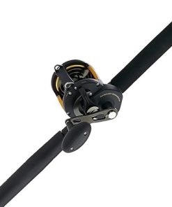 PENN Squall II Lever Drag Fishing Rod & Reel Combo