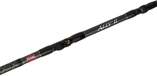 PENN Ally II Boat Conventional - 30-50 6 AR C
