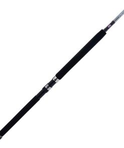 PENN Prevail III Boat Conventional Fishing Rod 2
