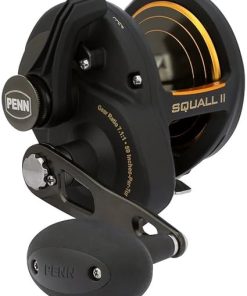 PENN Squall II Lever Drag Fishing Reel, Size 40, Graphite Body and Sideplates, Stainless Steel Main and Pinion Gears, Powerful PENN Dura-Drag