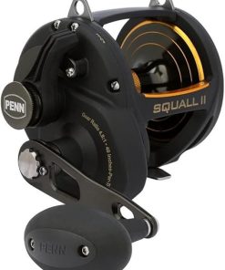 PENN Squall II Lever Drag Fishing Reel, Size 60, Graphite Body and Sideplates, Stainless Steel Main and Pinion Gears, Powerful PENN Dura-Drag