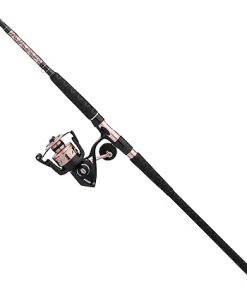 PENN Passion II Spinning Reel and Fishing Rod Combo 2