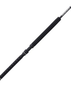 PENN Ally II Boat Conventional Fishing Rod