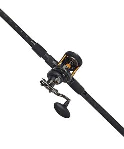 PENN® Squall® Star Drag 2