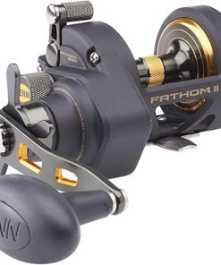 PENN Fathom II Star Drag Conventional Fishing Reel, Black Gold, 25N