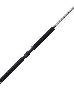 PENN Ally II 6’6″ Boat Fishing Rod, 1-Piece Saltwater Conventional Rod, 50-100 lb Line Rating, Heavy Rod Power, Moderate Action 2