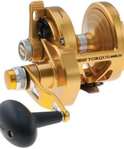 Torque Lever Drag 2 Speed Conventional Reel 2