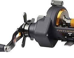 PENN Fathom II Star Drag Conventional Fishing Reel, Black Gold, 25N 2