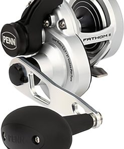 Penn Fathom 2 (FATHOMII) Normal Model/2-Speed Model, Various Offshore Aging Reel