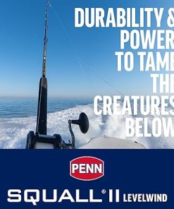 PENN Squall II Level Wind Conventional Reel and Fishing Rod Combo, Black/Gold 2